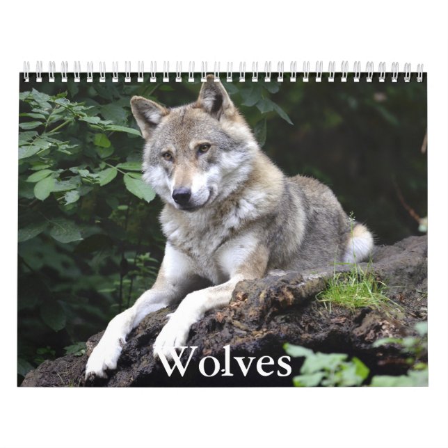 Wolf Calendar (Cover)