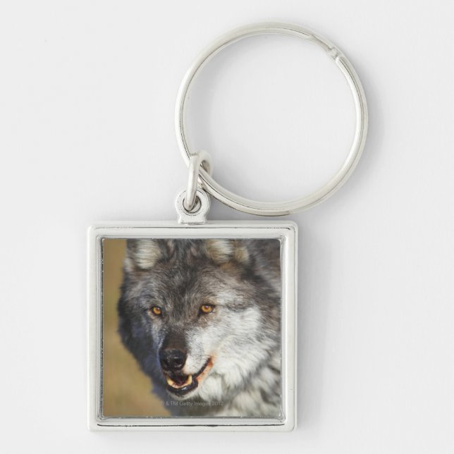 Wolf (Canis Lupus) Keychain (Front)
