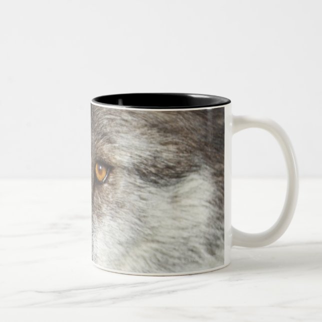 Wolf (Canis Lupus) Two-Tone Coffee Mug (Right)