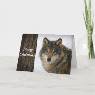 Wolf Christmas Card