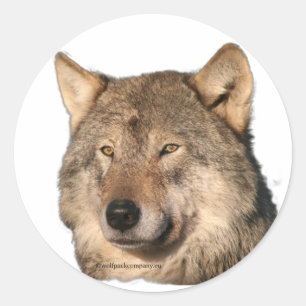 wolf classic round sticker