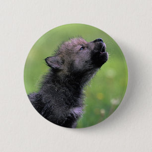 Wolf Cub Howling 2 Inch Round Button