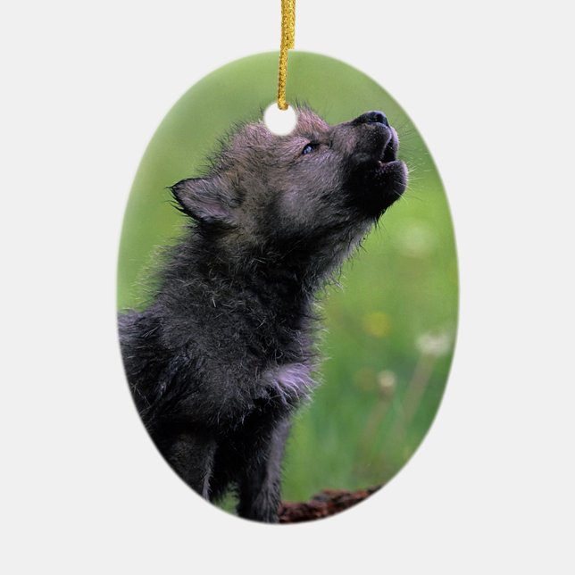 Wolf Cub Howling Ceramic Ornament (Front)