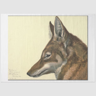 Wolf Ephemera Decoupage Tissue Paper