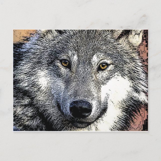 Wolf Eyes Artwork Postcard (Front)