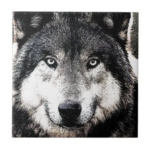 Wolf Eyes - Black & White Wild Animal Artwork Tile