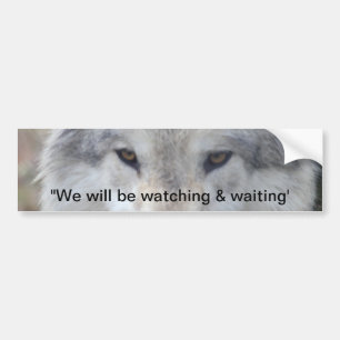 Wolf Eyes Bumper Sticker