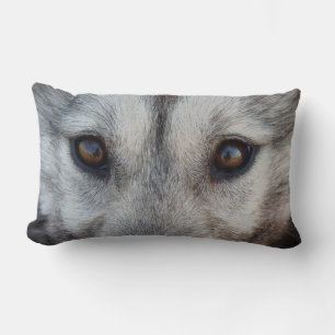 Wolf Eyes Coussin Husky Wolf Pup Cadeaux Coussin