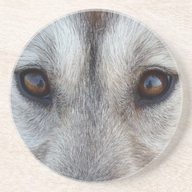 Wolf Eyes Dessous de verre Wolf Dog Art Dessous de (Devant)