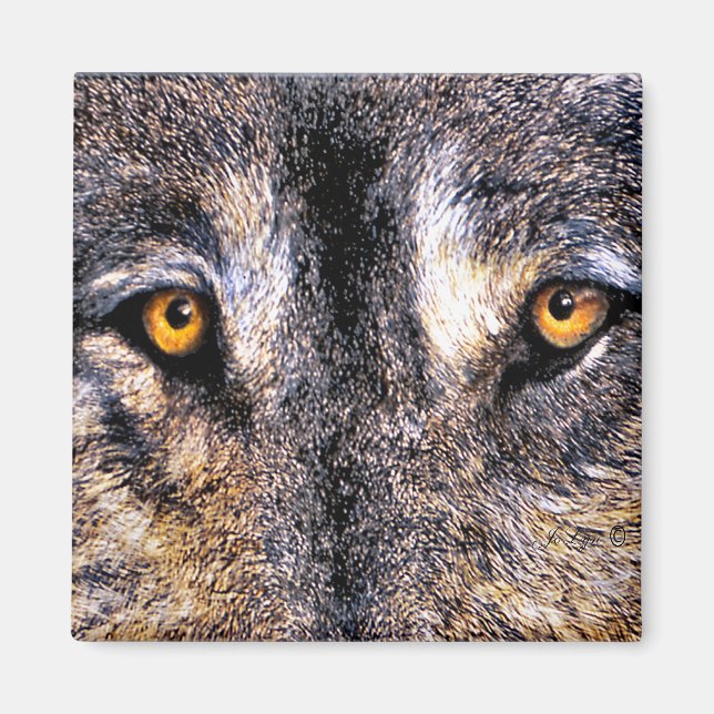 Wolf Eyes Magnet (Front)