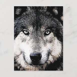 Wolf Eyes Postcard