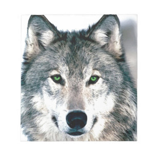 Wolf Eyes wild nature animal Print Notepad