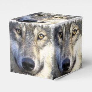 Wolf face close up favor box