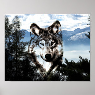 Wolf face poster