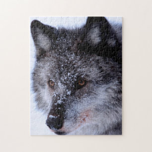 Wolf Face, Puzzle de Jigsaw
