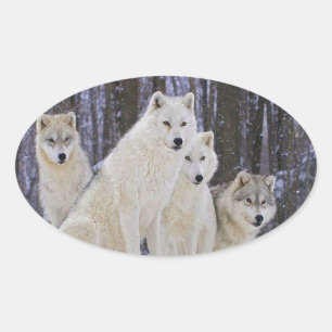 Wolf Family Oval Sticker