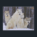 Wolf Family Postcard<br><div class="desc">This product with a family of white wolves is ideal for a gift.</div>