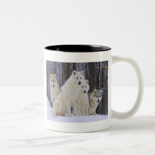 Wolf Family Two-Tone Coffee Mug