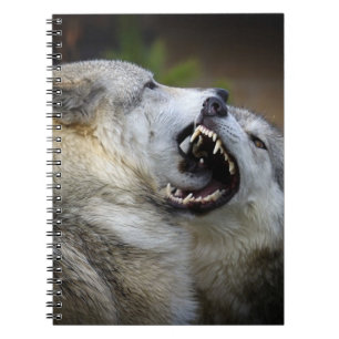 Wolf Fight Notebook