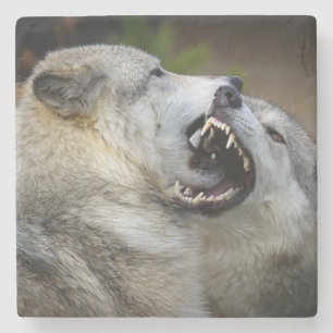 Wolf Fight Stone Coaster