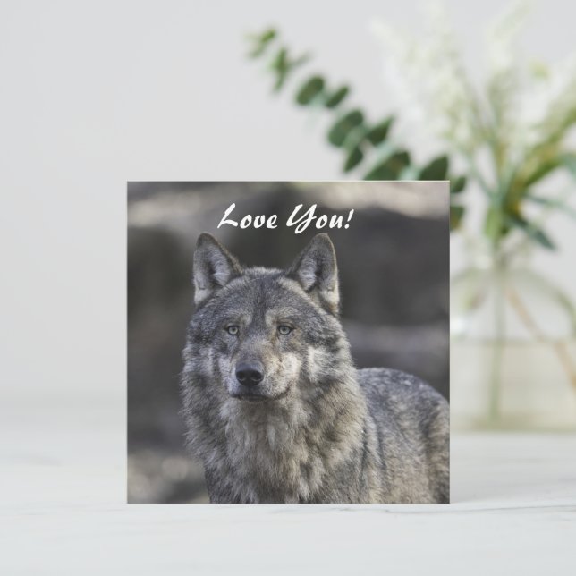 Wolf Flat Greeting Card (Standing Front)