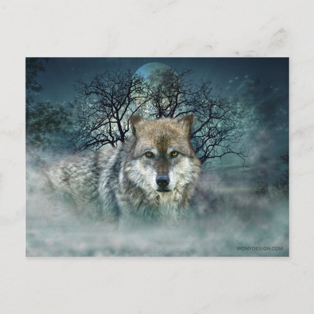 Wolf Full Moon in Fog Postcard (Front)