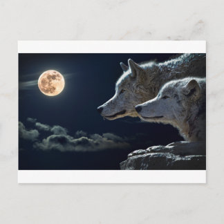 Wolf Gifts Postcard