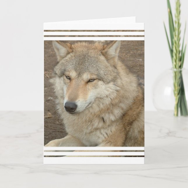 Wolf Greeting Card (Front)