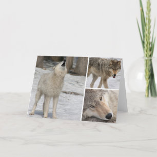 Wolf - Greeting Card - Blank Personalize It