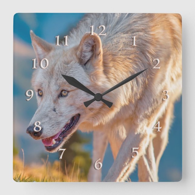 WOLF HAPPY TRAILS SQUARE WALL CLOCK (Front)