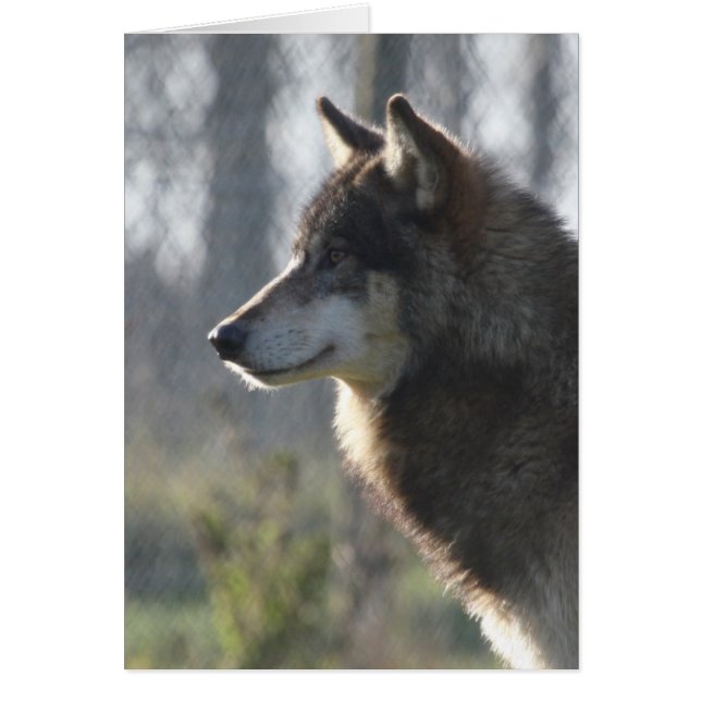 Wolf head (Front)