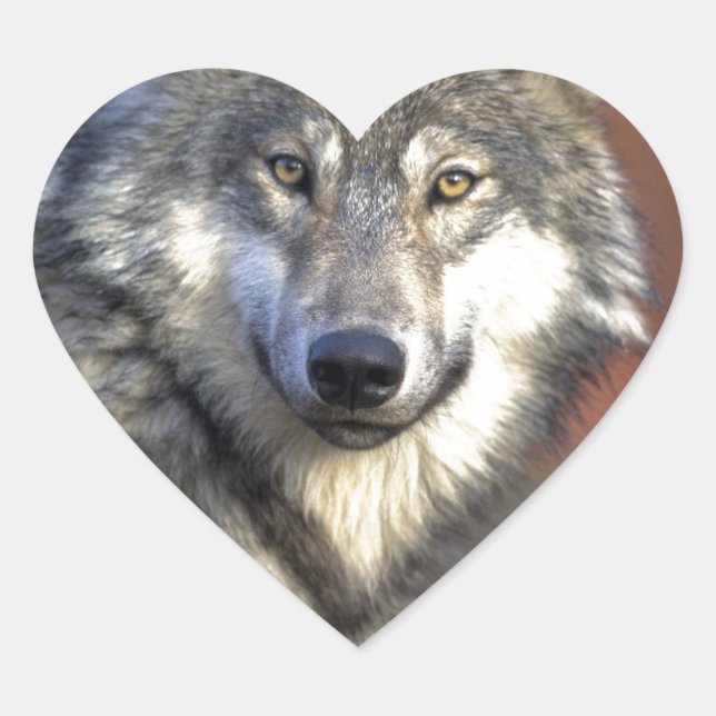 WOLF HEART STICKER (Front)