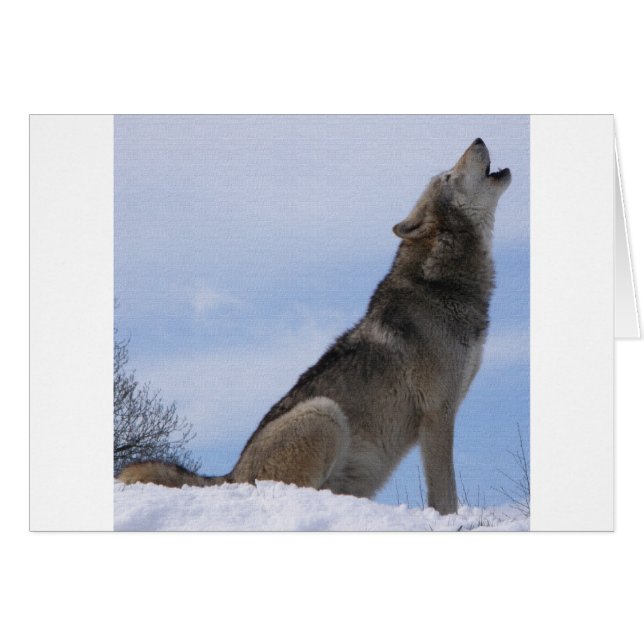 Wolf Howl (Front Horizontal)