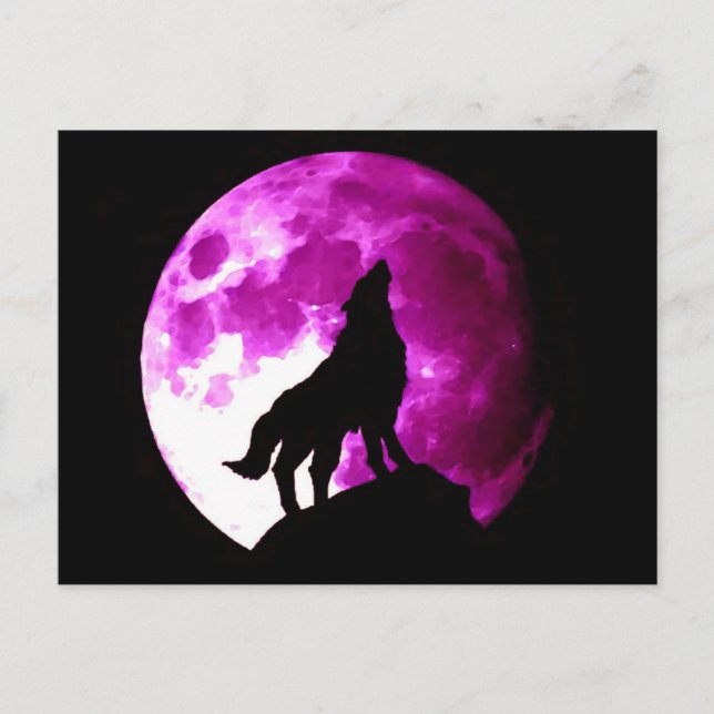Wolf Howling at Moon Postcard (Front)