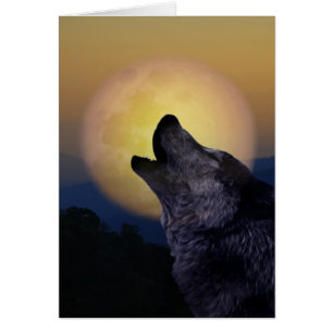 Wolf howling at the moon