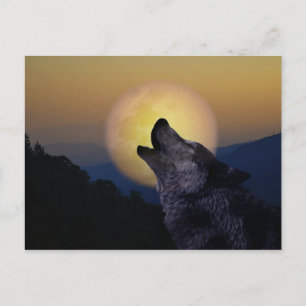 Wolf howling at the moon postcard