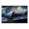 Wolf howling at the moon