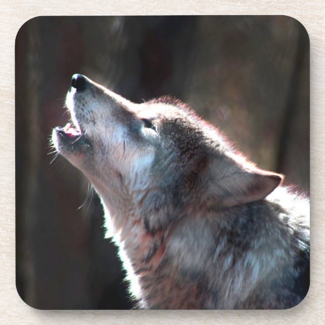 Wolf Howling Lone Wolf Coaster (Front)