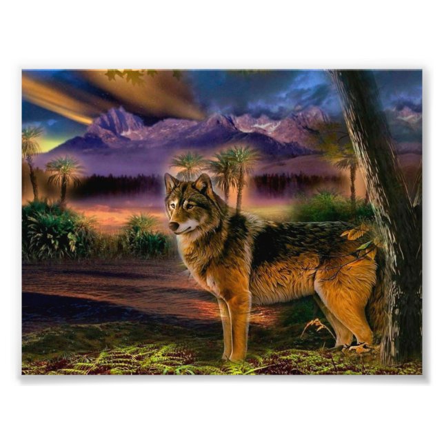 Wolf hunting in mountain photo print (Front)