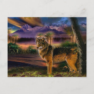 Wolf hunting in mountain postcard