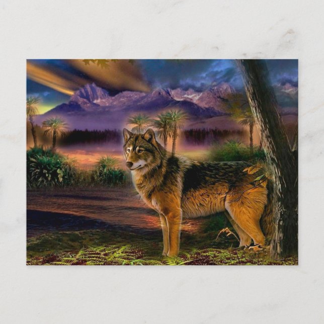 Wolf hunting in mountain postcard (Front)