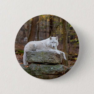 Wolf in Fall 2 Inch Round Button