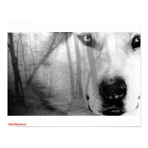 Wolf in Forest Poster   DarkSpectrum original