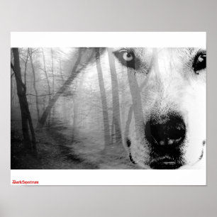 Wolf in Forest Poster DarkSpectrum original