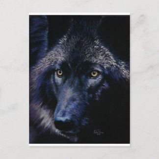 Wolf in moonlight (a) postcard