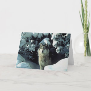 Wolf in snow thank you card