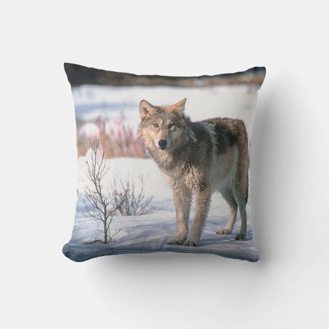 Wolf In Snow Throw  Pillow (Front)