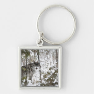 Wolf In The Forest In Winter Keychain
