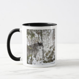 Wolf In The Forest In Winter Mug