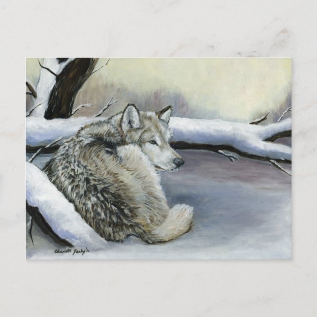 Wolf in the Snow Animal Art Post Card (Front)